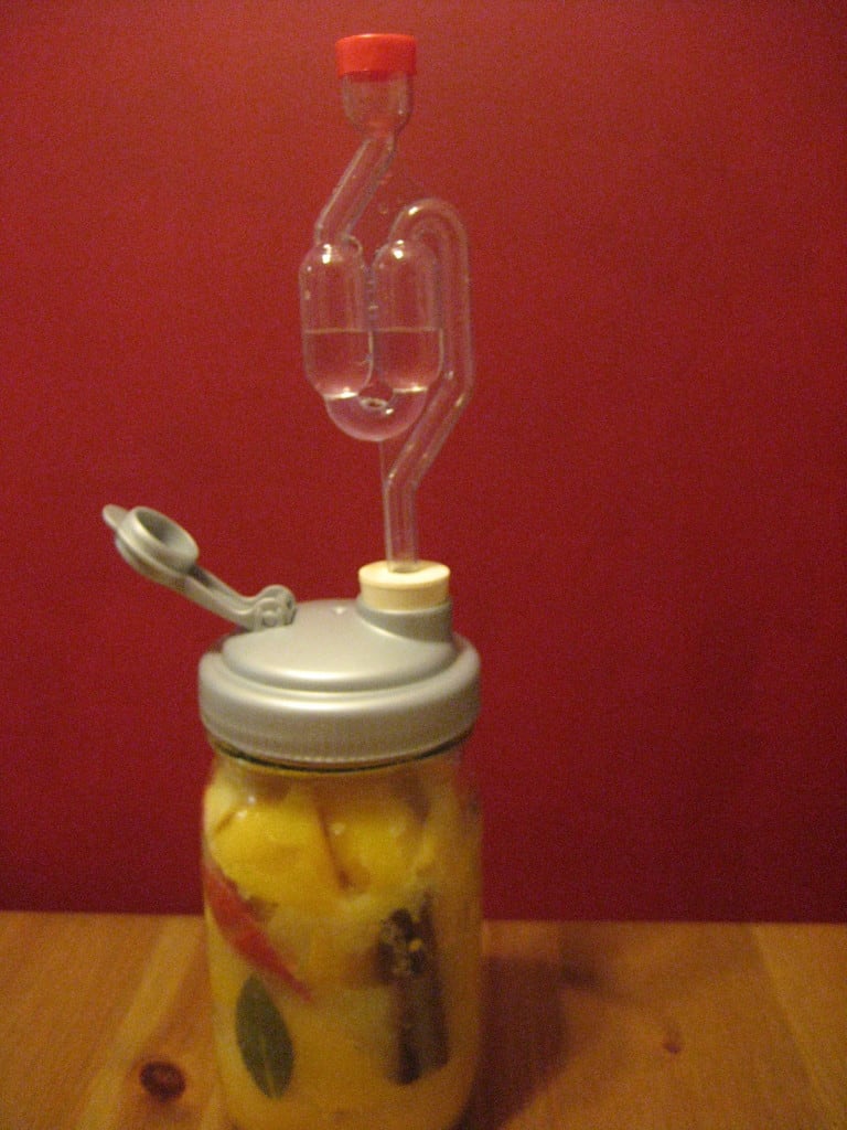 Wide Mouth Fermentation with Recap