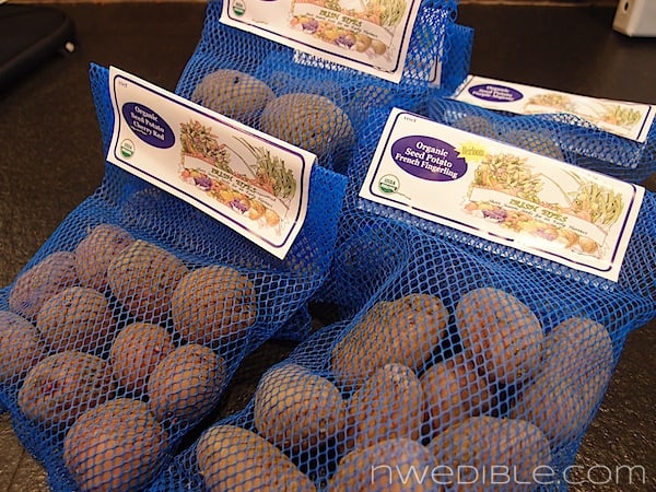 Seed Potatoes Seed Potatoes