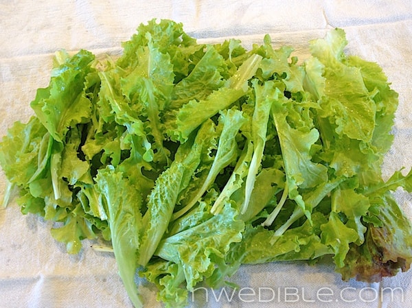 photo_2