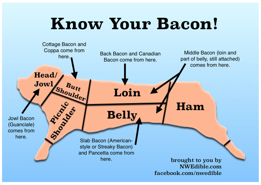 what part of the pig does bacon come from diagram you can make bacon at home and it s delicious what part of the pig does bacon come from diagram you can make bacon at home and it s delicious