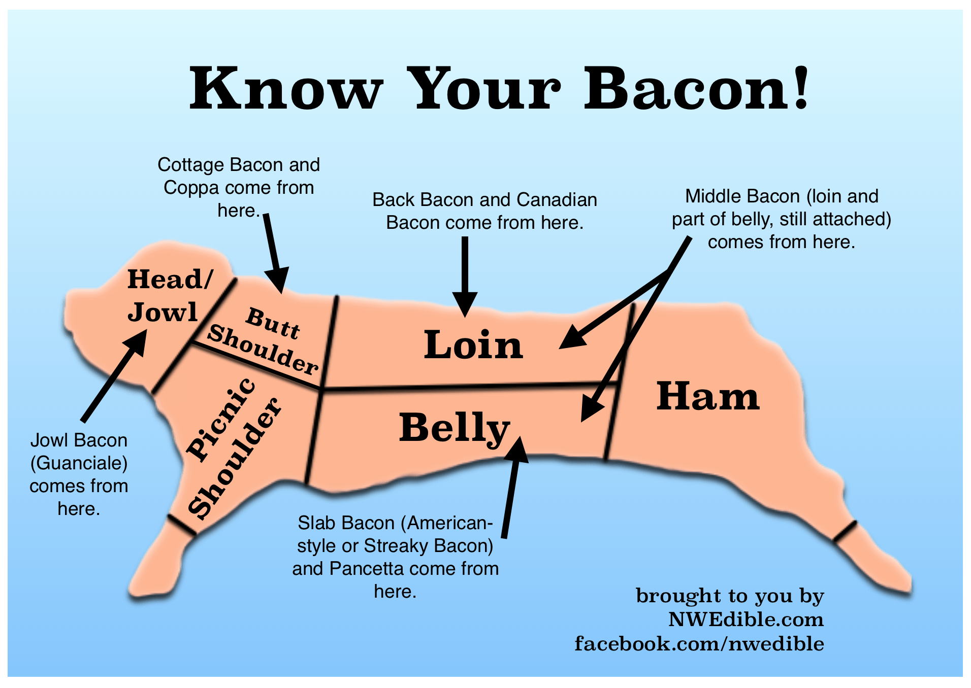 bacon floatie