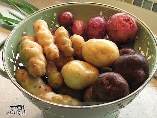 Best Veg For Small Gardens