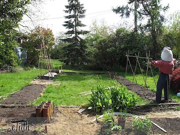 Best Veg For Small Gardens