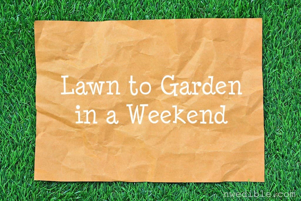 Lawn to Garden34