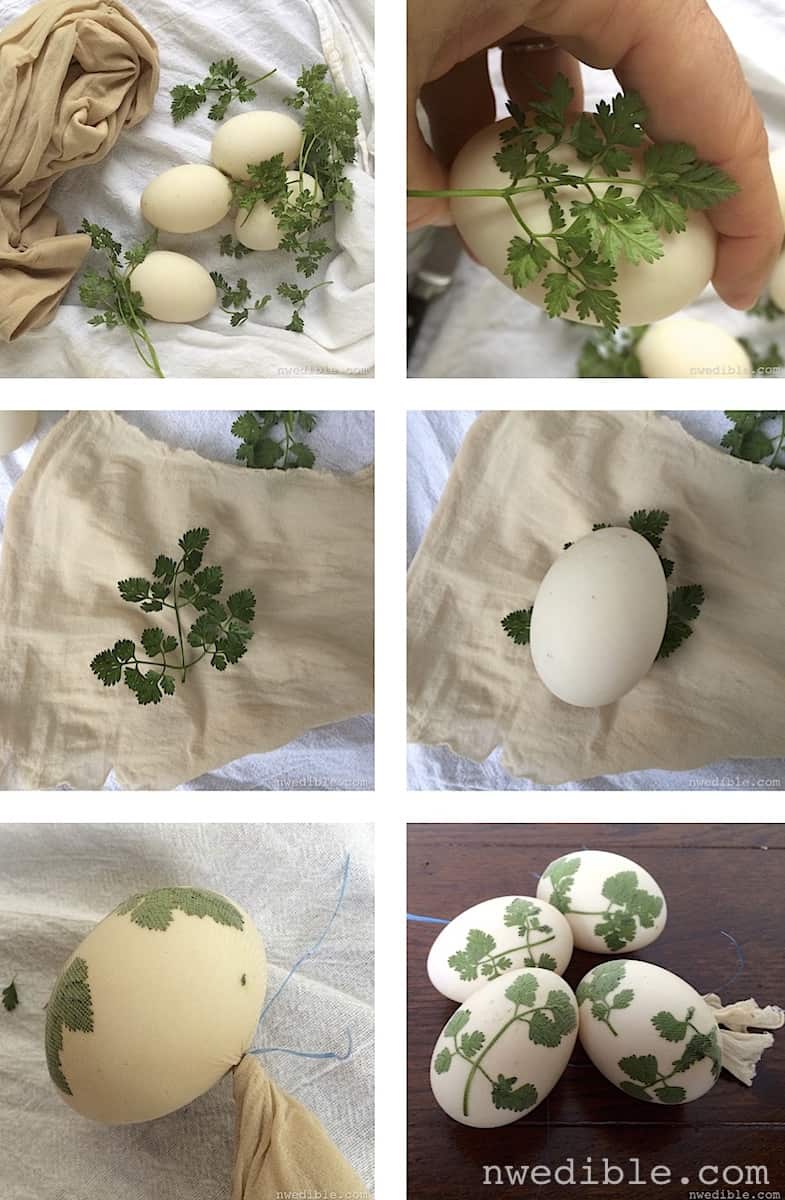 Sunprint-Dyed-Eggs-Method