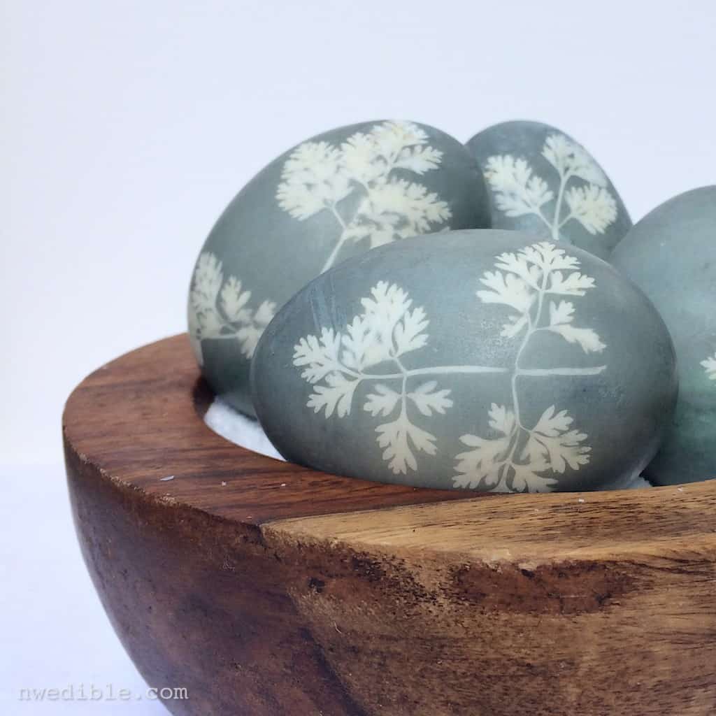 Sunprint-Dyed-Eggs82