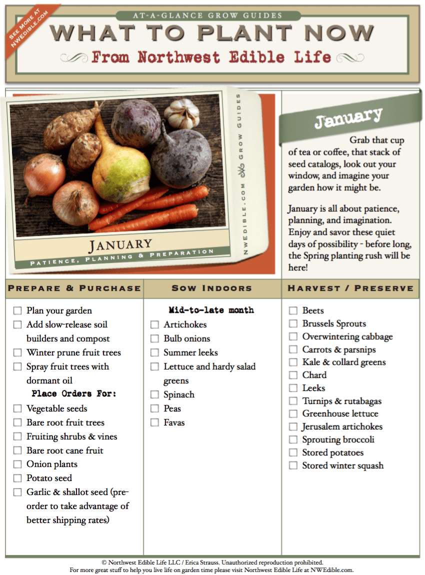 Vegetable Gardening In The Pacific Northwest January Printable Chore Chart